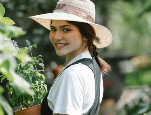 How to Transform Your Backyard into a Sustainable Oasis