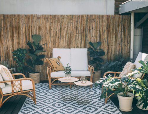 The Best Way to Display Plants Indoors (and in Alfresco Areas)