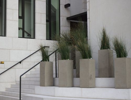Why Fibreglass Planter Boxes Are Popular in Modern Landscaping